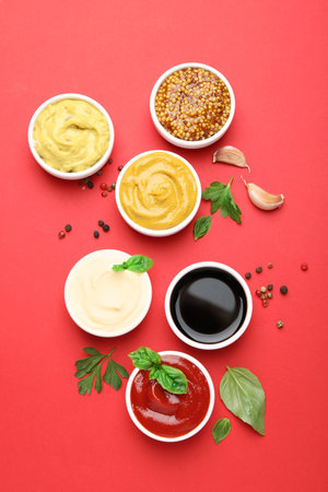 Different sauces, spices and herbs on red background, flat layの写真素材