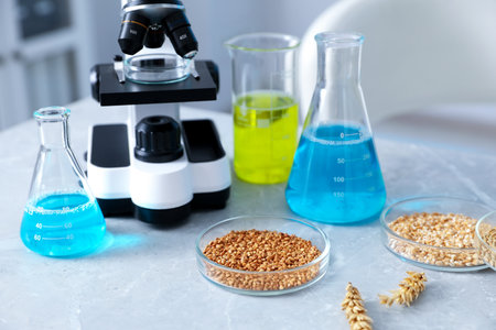 Different grains in Petri dishes, liquids and microscope on table in laboratory, closeupの写真素材