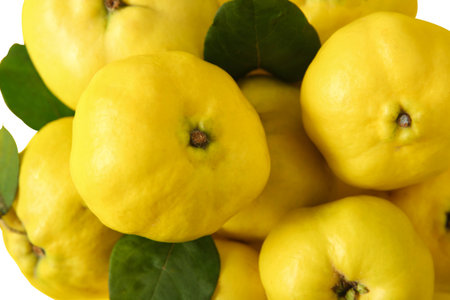 Fresh quinces with green leaves on white background, closeupの写真素材