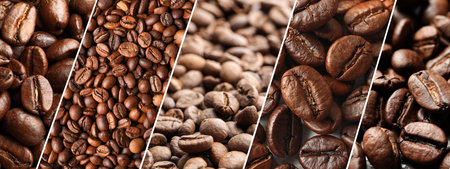 Roasted coffee beans, collage of pictures. Banner designの写真素材