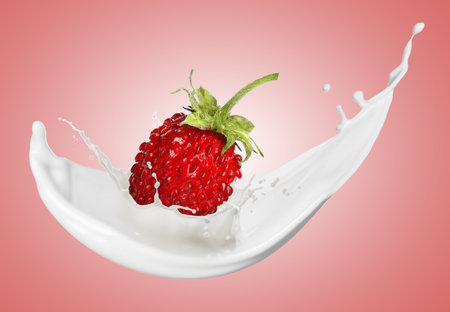 Milkshake splash and strawberry in air on pink backgroundの写真素材