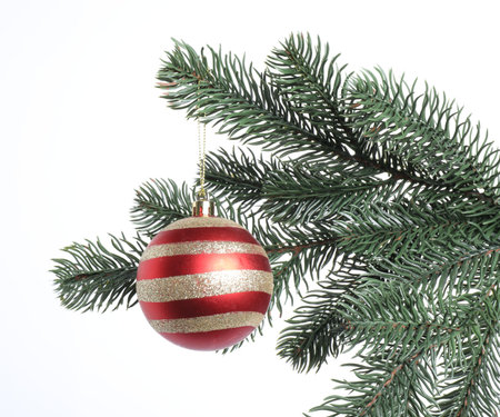 Christmas tree branch with decorative ball on white backgroundの写真素材