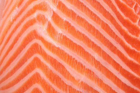 Fresh salmon fillet as background, closeup viewの写真素材
