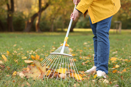 Woman raking fallen leaves on green lawn outdoors, closeup