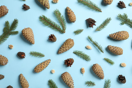 Flat lay composition with pinecones and branches on light blue backgroundの写真素材