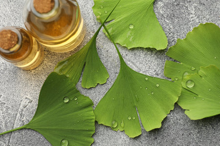 Wet ginkgo biloba leaves and bottles of essential oil on gray textured table, flat layの写真素材