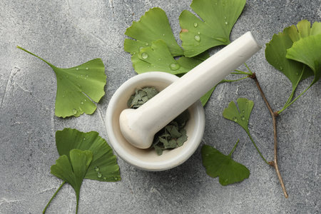 Wet ginkgo biloba leaves, mortar and pestle on gray textured table, flat layの写真素材