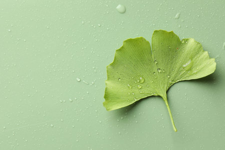 Wet ginkgo biloba leaf on green background, top view. Space for text
