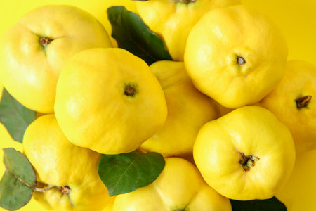 Fresh quinces with green leaves on yellow background, above viewの写真素材