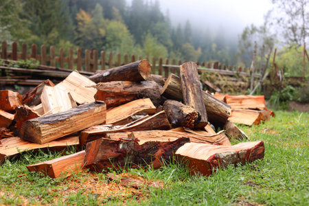 Pile of cut firewood on green grass outdoors