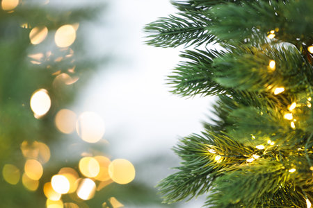 Branches of beautiful Christmas tree with festive lights, closeup and space for text. Bokeh effectの写真素材