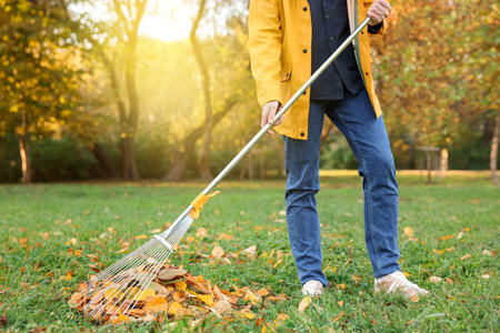 Woman raking fallen leaves on green lawn outdoors, closeup
