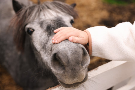 Equine assisted therapy. Little boy stroking beautiful pony in countryside, closeup. Lovely domesticated petの写真素材