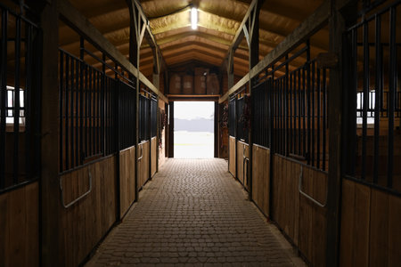 View of empty horse stalls in stableの写真素材