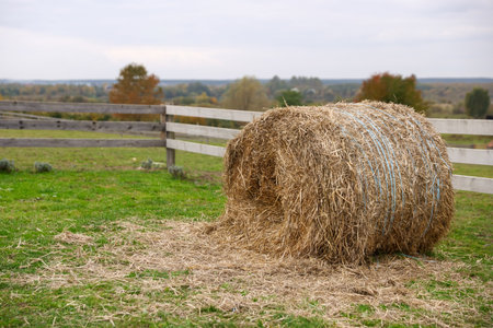 Round hay bale on farm.の写真素材