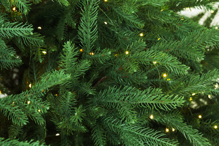 Fir tree with Christmas lights, selective focus