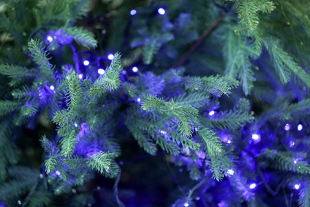Fir tree with blurred Christmas lights, closeup. Bokeh effect