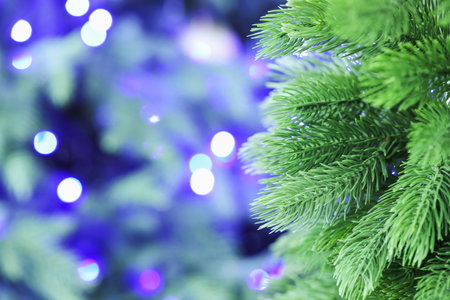 Fir tree with blurred Christmas lights, closeup. Bokeh effectの写真素材