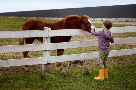 Equine assisted therapy. Little boy with beautiful horse at paddock. Lovely domesticated pet