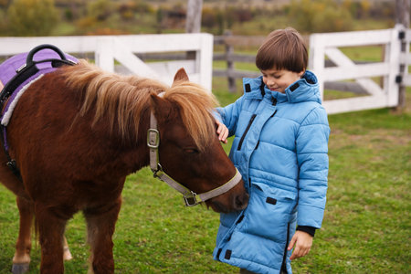 Equine assisted therapy. Little boy with beautiful pony outdoors. Lovely domesticated petの写真素材