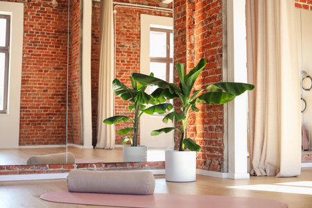 Spacious yoga studio with mat, bolster, green plant and mirrorの写真素材