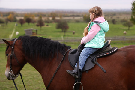 Equine assisted therapy. Little girl riding beautiful horse outdoors. Lovely domesticated petの写真素材