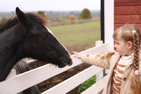 Equine assisted therapy. Little girl stroking beautiful horse in countryside. Lovely domesticated petの写真素材