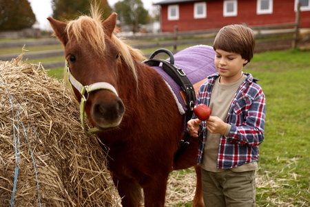 Equine assisted therapy. Little boy feeding apple to pony outdoors. Lovely domesticated petの写真素材
