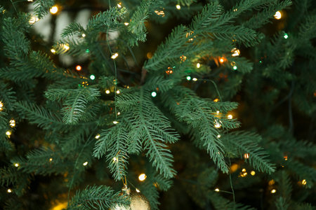 Fir tree with blurred Christmas lights, closeup. Bokeh effect