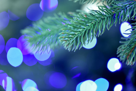 Fir tree with blurred Christmas lights, closeup. Bokeh effectの写真素材