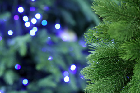 Fir tree with blurred Christmas lights, closeup. Bokeh effectの写真素材