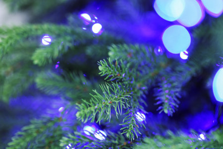 Fir tree with blurred Christmas lights, closeup. Bokeh effectの写真素材