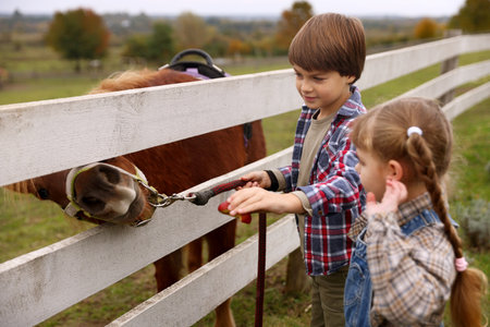 Equine assisted therapy. Cute children feeding apple to beautiful pony at paddock. Lovely domesticated petの写真素材
