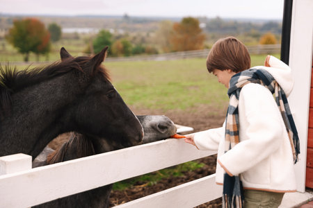 Equine assisted therapy. Boy feeding carrot to horse outdoors.の写真素材