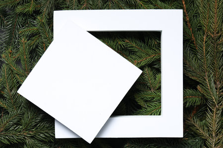 Blank card on spruce branches, top view with space for text. Christmas treeの写真素材