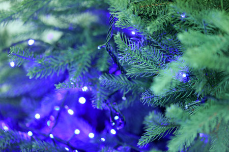 Fir tree with blurred Christmas lights, closeup. Bokeh effectの写真素材