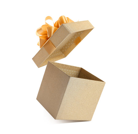 Open gift box with beautiful lid in air against white background