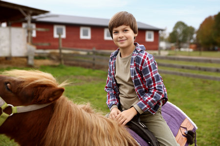 Equine assisted therapy. Little boy riding pony outdoors. Lovely domesticated petの写真素材