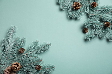 Christmas tree branches with pine cones on light green background, flat lay. Space for textの写真素材