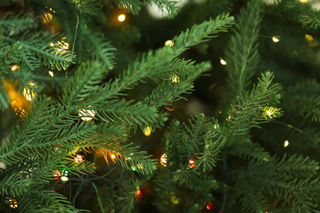 Fir tree with blurred Christmas lights, closeup. Bokeh effectの写真素材