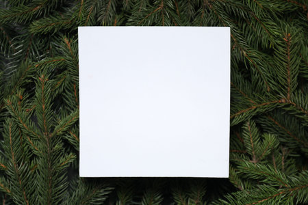 Blank card on spruce branches, top view with space for text. Christmas treeの写真素材