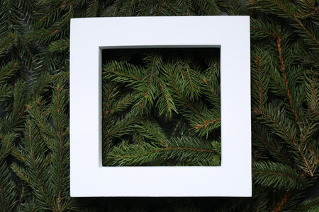 Frame on spruce branches, top view with space for text. Christmas treeの写真素材