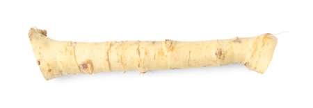 One fresh horseradish root isolated on white, top viewの写真素材
