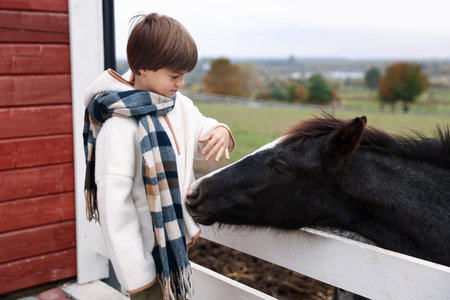 Equine assisted therapy. Little boy stroking beautiful horse in countryside. Lovely domesticated petの写真素材