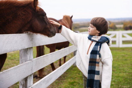 Equine assisted therapy. Little boy stroking beautiful horse in countryside. Lovely domesticated petの写真素材