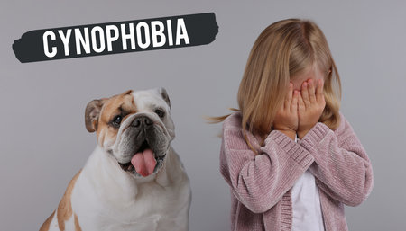 Scared little girl suffering from cynophobia, gray background. Pathological fear of dogsの写真素材