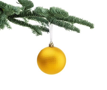 Christmas ball hanging from fir tree on white background. Festive ornamentの写真素材
