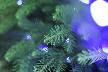 Fir tree with blurred Christmas lights, closeup. Bokeh effect