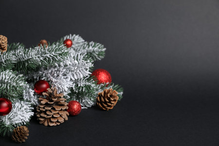 Beautiful Christmas tree branches with cones and ornaments on black background, closeup. Space for textの写真素材