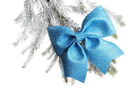 Christmas tree branches with beautiful bow on white backgroundの写真素材